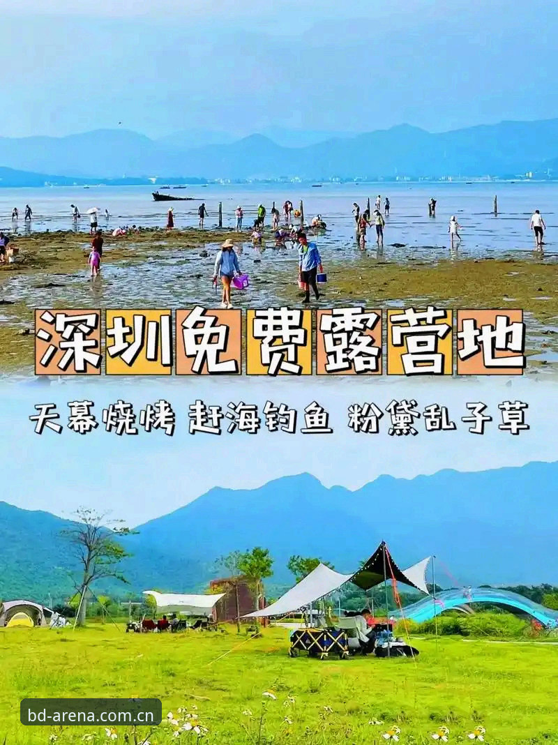 半岛体育官网入口使用教程：从官方App下载到畅玩全流程